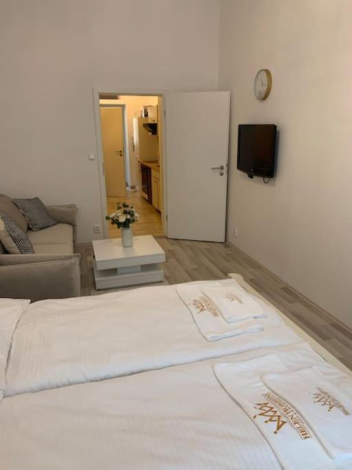 Helen Homestay Vysehrad Praga Exterior foto